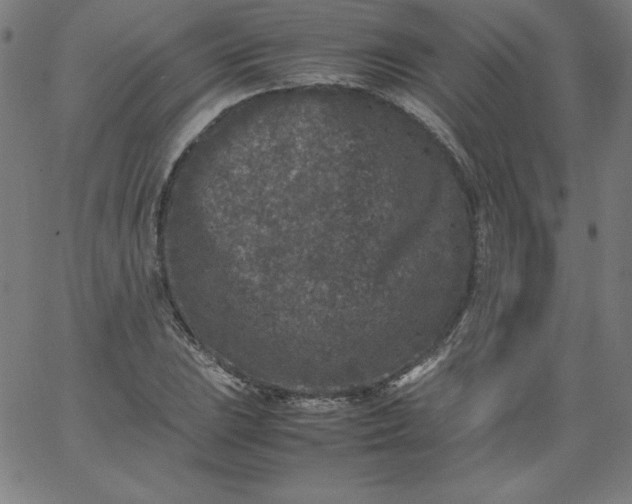 X0000067361023200604131811