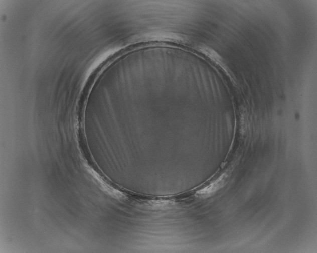 X0000067361024200604131811
