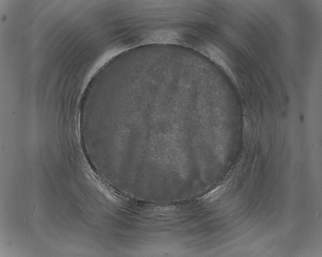 X0000067361035200604131811