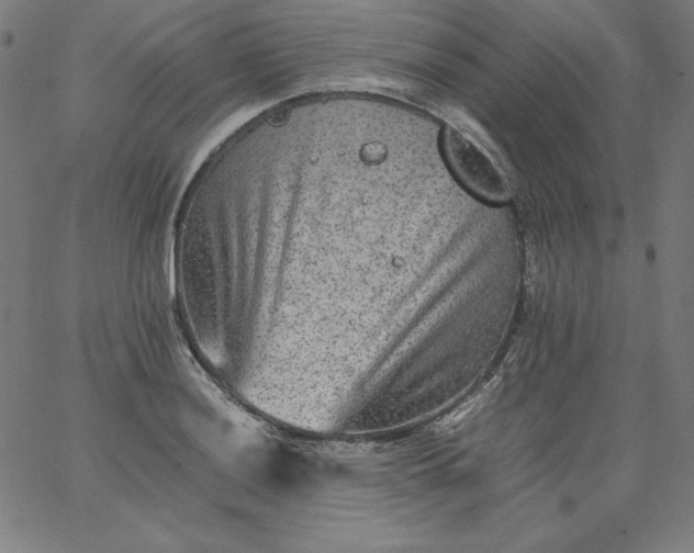 X0000067361036200604131811