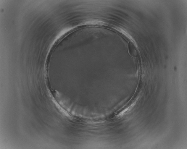 X0000067361037200604131811