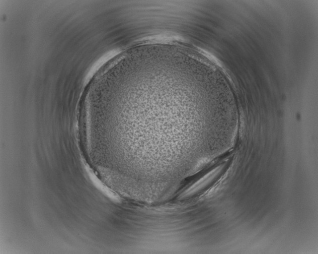 X0000067361042200604131811