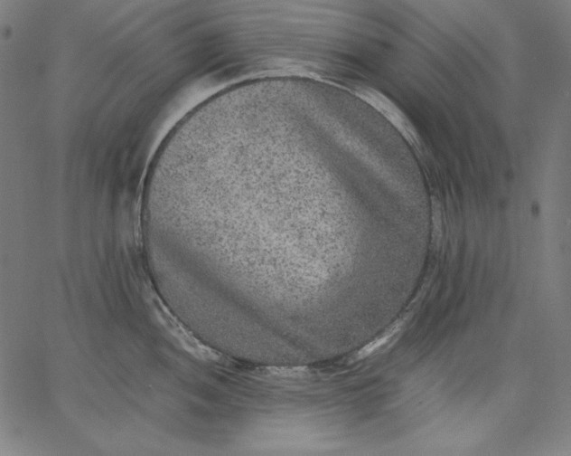 X0000067361052200604131811