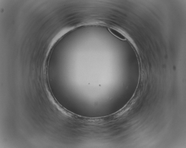X0000067361053200604131811