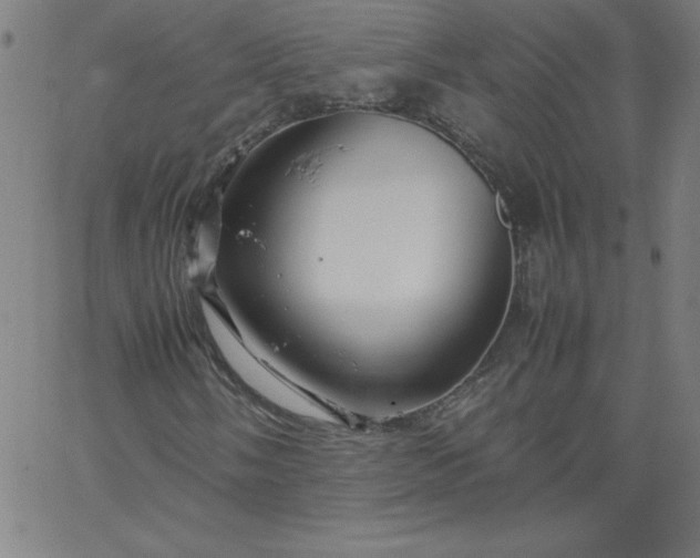 X0000067361058200604131811