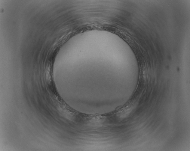 X0000067361060200604131810