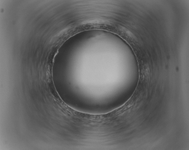 X0000067361062200604131810
