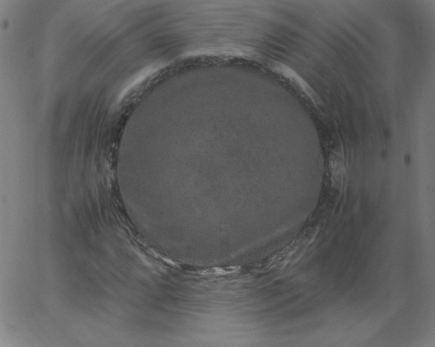 X0000067361064200604131810