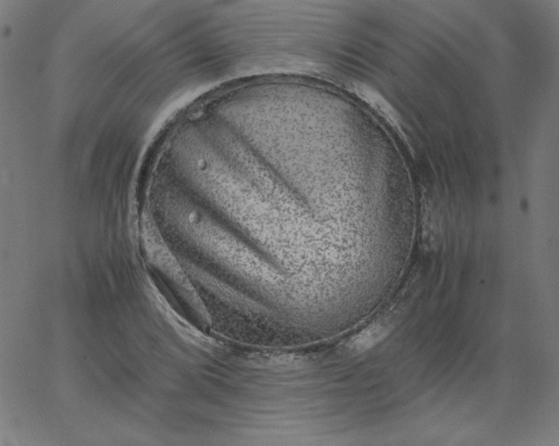 X0000067361072200604131810