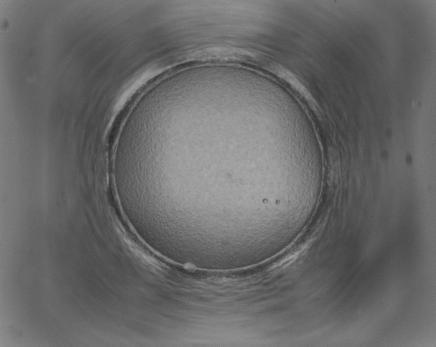 X0000067361075200604131810