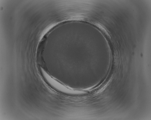 X0000067361077200604131810