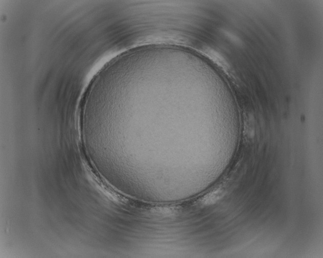X0000067361078200604131810