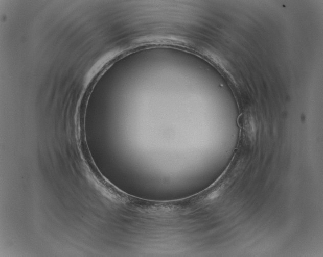 X0000067361082200604131810