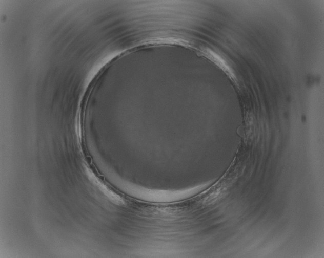 X0000067361084200604131810