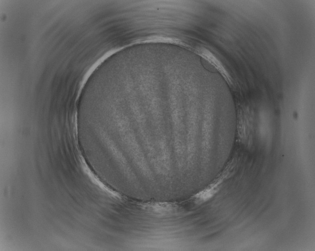 X0000067361092200604131810