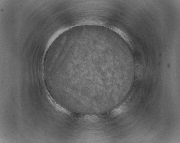 X0000067361094200604131810