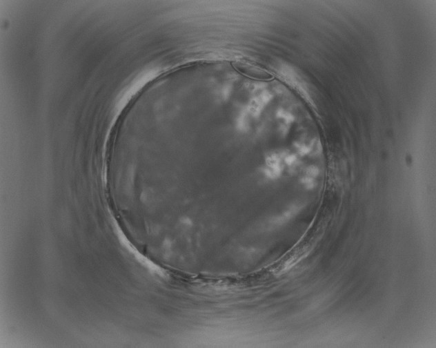 X0000067361095200604131810
