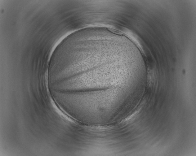 X0000067361100200604131810