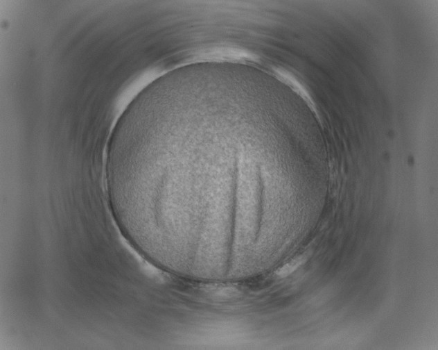 X0000067361103200604131810