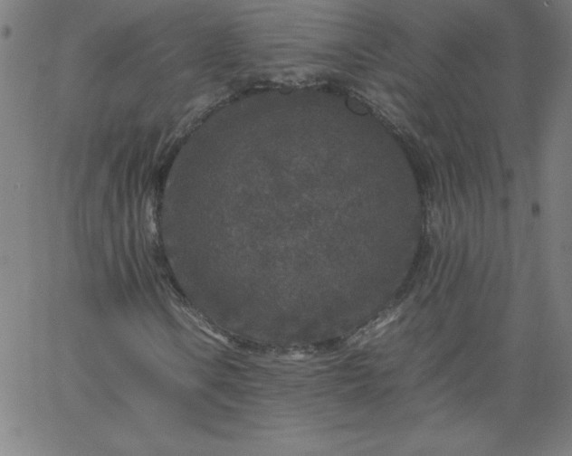 X0000067361106200604131809