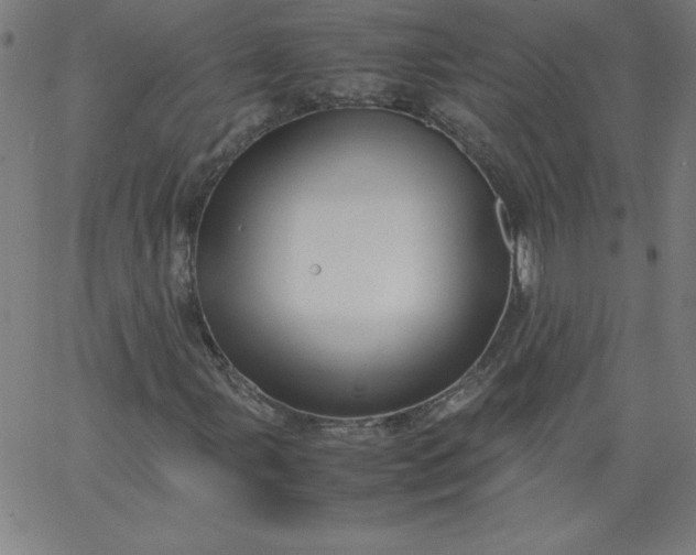 X0000067361107200604131809