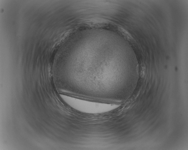X0000067361108200604131809