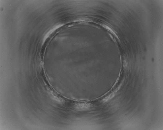 X0000067361117200604131809