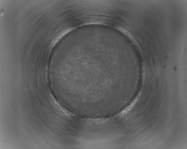 X0000067361121200604131809