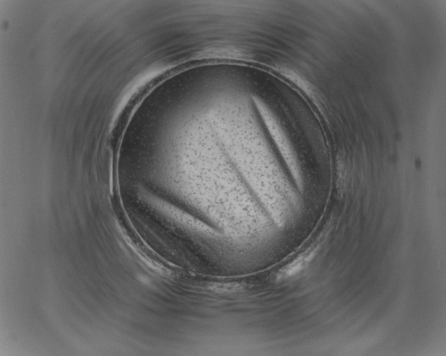 X0000067361123200604131809