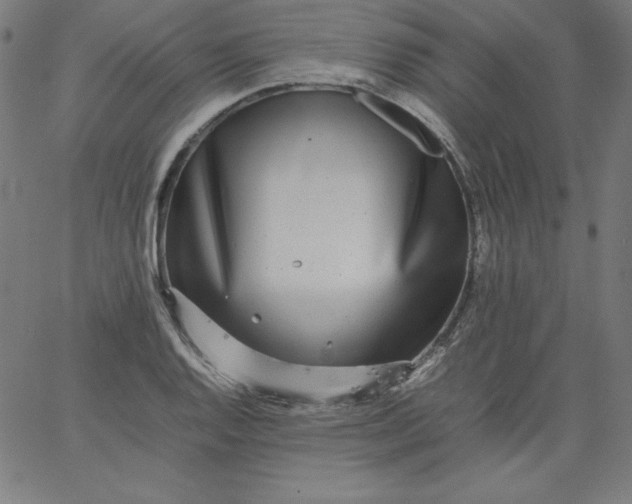 X0000067361128200604131809