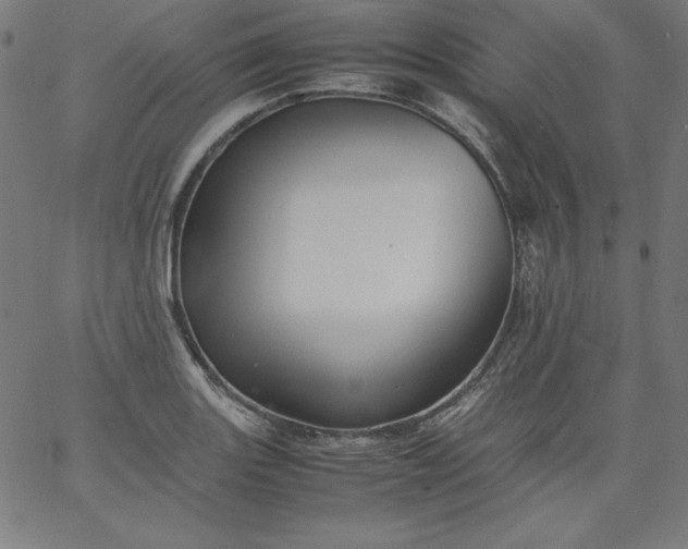 X0000067361131200604131809