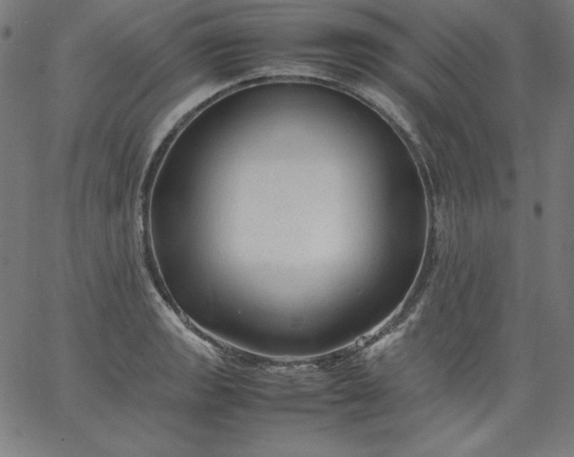 X0000067361133200604131809