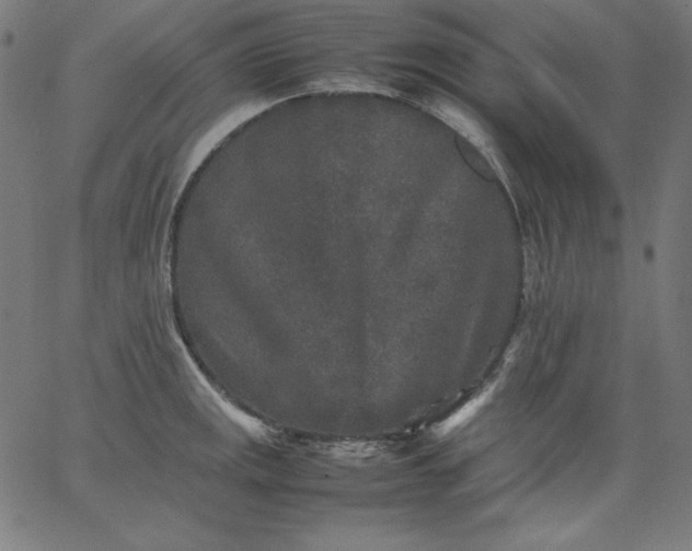 X0000067361141200604131810