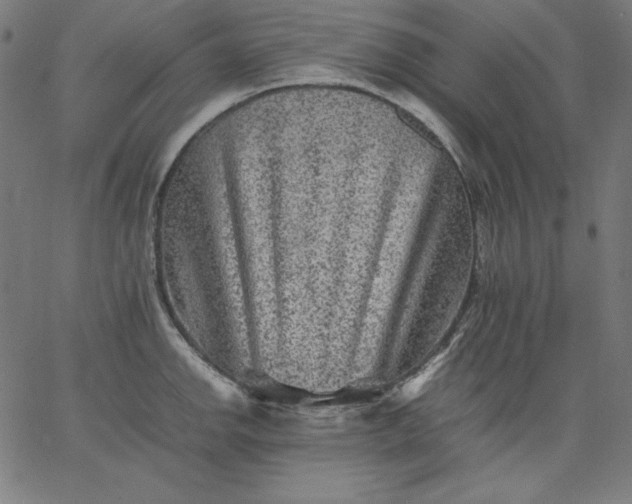 X0000067361142200604131810