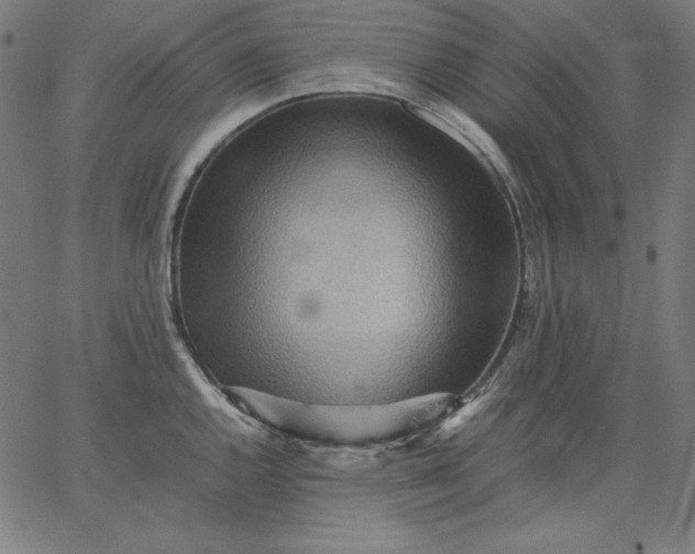 X0000067361144200604131810