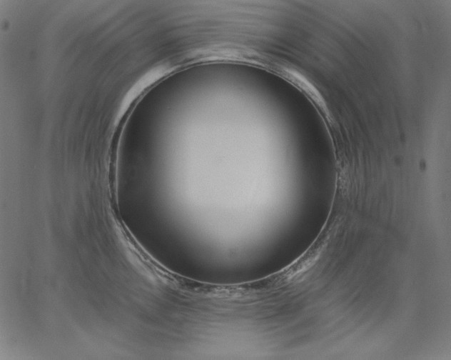 X0000067361146200604131810