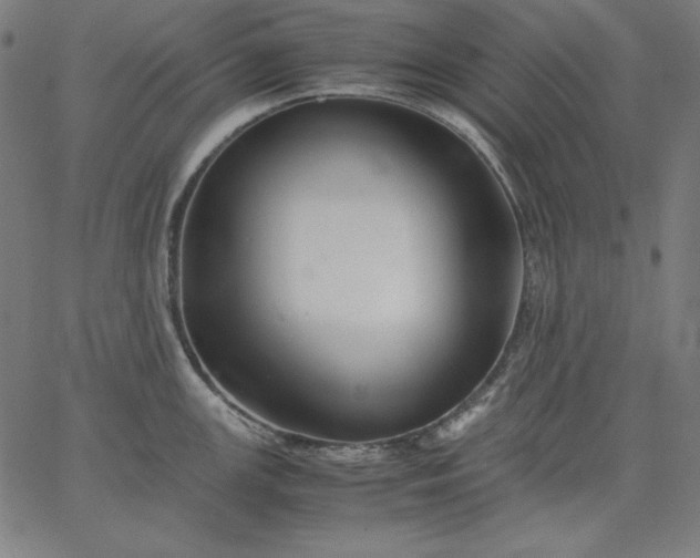X0000067361147200604131810