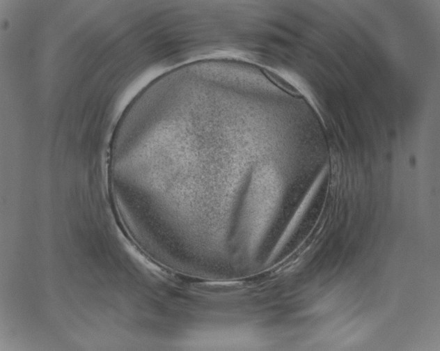 X0000067361151200604131810