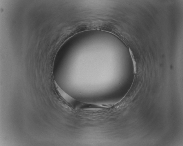X0000067361153200604131809