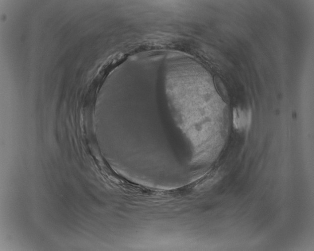 X0000067361155200604131809