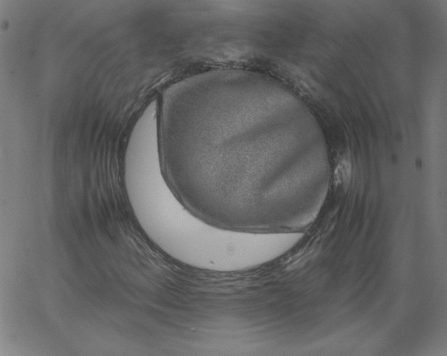 X0000067361156200604131809