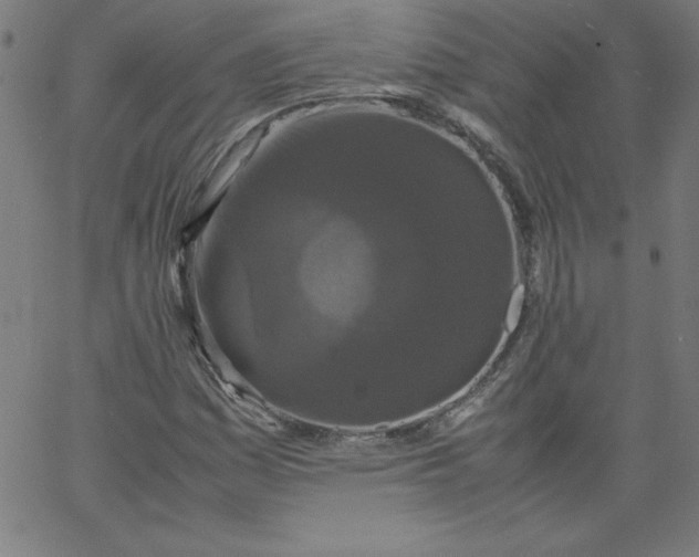 X0000067361161200604131809