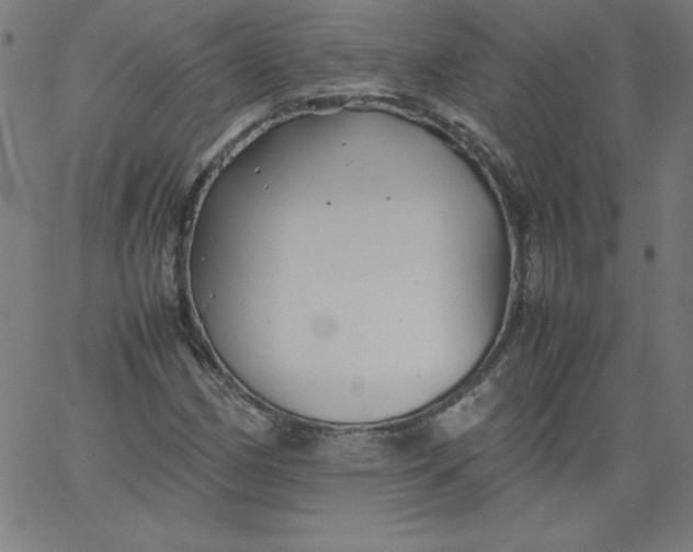 X0000067361162200604131809