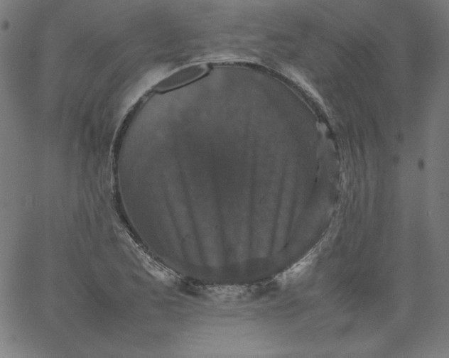 X0000067361173200604131809