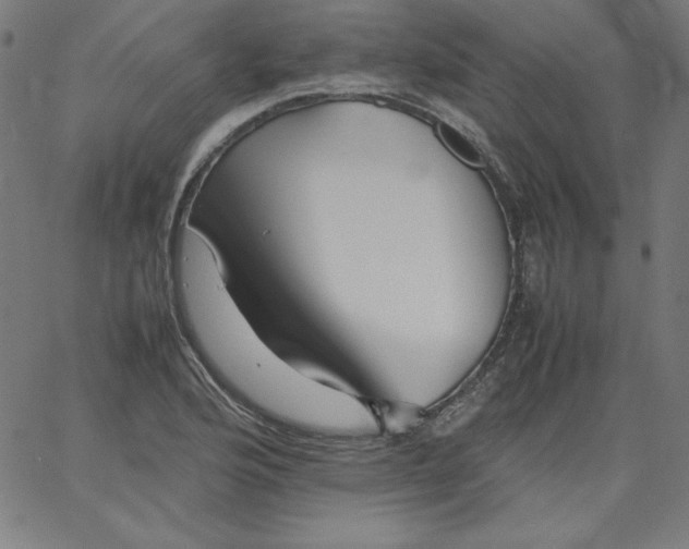 X0000067361176200604131809