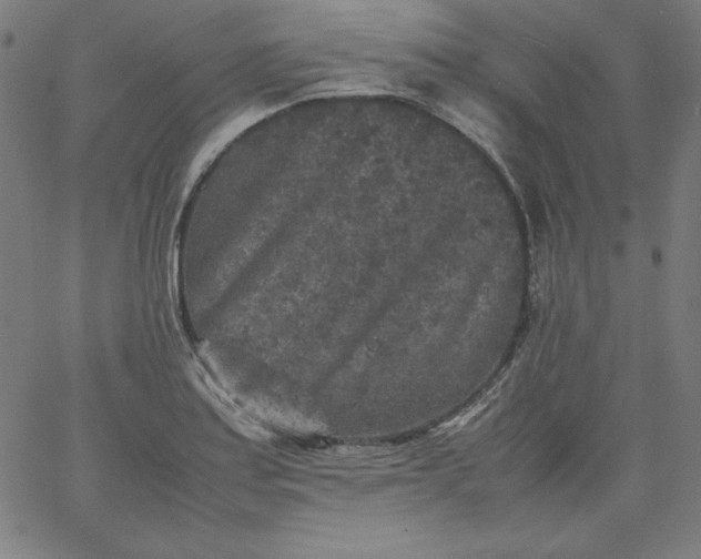 X0000067361179200604131809