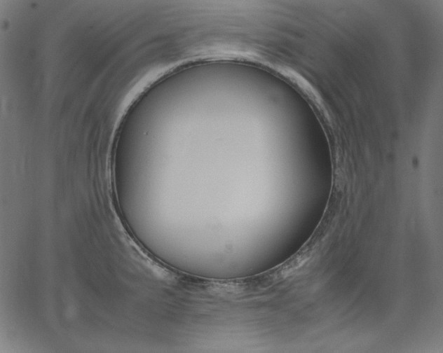 X0000067361191200604131808