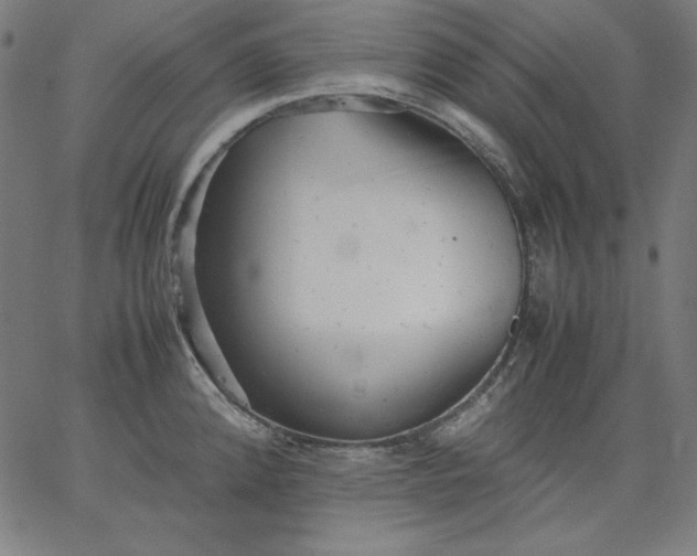 X0000067361192200604131808