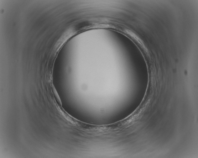 X0000067361193200604131808