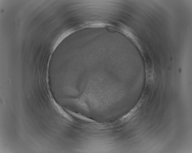 X0000067361194200604131808
